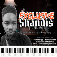 EXCLUSIVE SHANDIS VOL 4 MIXED &amp; COMPILED BY SKIINNYDEEJAY by Skiinny Deejåy