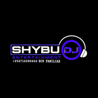 DJ SHYBU vol 1 call @ 0740299521 by DJ SHYBU 254