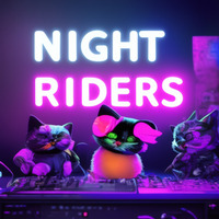 Nightriders - Upbeat house / techno sets