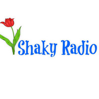 Shaky Radio Engineering Test by Shaky Radio