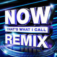 Dj SteveO Presents Now Thats what I call Remix by World Wide DJS