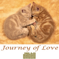 (Live Mixset) Journey of Love - Dat Tu by Dat Tu ✅