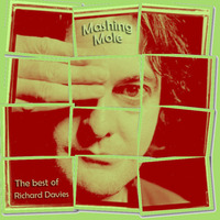 Mashing Mole - The Best of Richard Davies by hairybreath