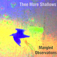 Thee More Shallows - Mangled Observations 2002-2021 by hairybreath