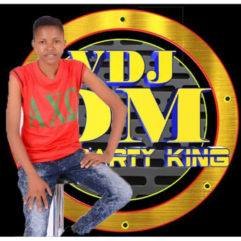 vdj_dm_ke