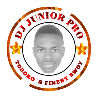 Dj Junior Pro 256