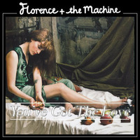 Florence &amp; The Machine - You Got The Groove (Big Daddy Mashup) by DJ Big Daddy From Oslo