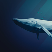 derniere baleine new by coeuryieux