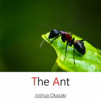 The Ant by Joshua Okazaki