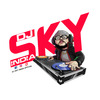 DJ SKY INDIA