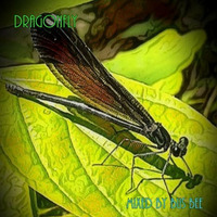 Dragonfly - A Dub Techno Mix Mixed by Bus Bee by Bus Bee