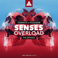 Teminite & PsoGnar - Senses Overload (EH!DE & Skyloud Remix) by Best of The Best