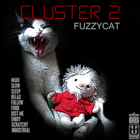 20220318 - Cluster 2 - Fuzzycat by CLUSTER 2
