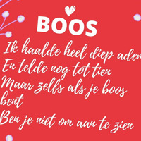 Boos.mp3 by René van Densen - gedichten