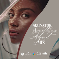 Siznator - SomethingAboutitMix by sizinatorworldwide