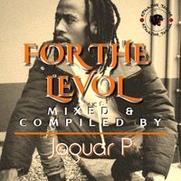 For The Levol Mix By Jaguar P by realking_jaguar