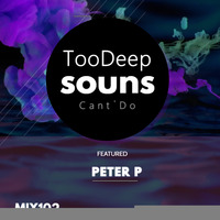 Peter PSA - TooDeepSounds by Peter P