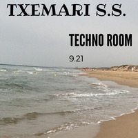 Techno   Room  9-21  Txemari SS by Txemari S.S.