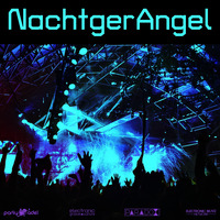 NachtgerAngel - The Series