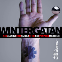 Marble Sugar S3x Machine - Wintergatan vs the Peppers by lizzart