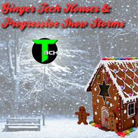 GingerTech Houses & Progressive Snow Storms by Deejay T3CH