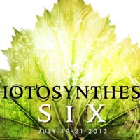 David Dewey - Photosynthesis Festival 2013 by David Dewey