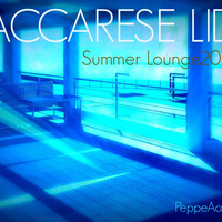 DGroove.Vdj   MACCARESE LIDO  SummerLounge 2014 (PeppeAcampora by PeppeAcampora
