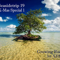 XEED - Growing Roots by XEED