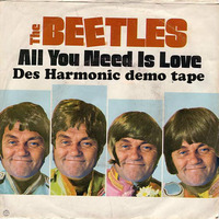 wrongkey beetles by Des Harmonic