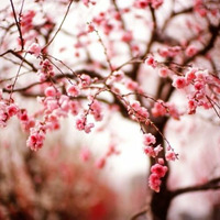 ✰Milennia Sunshine✰ - Spring Beats With Love (Free Download) by Milennia Sunshine