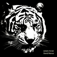 David Manso - Down To Me (Original Mix)[Deep Strips] OUT NOW by David Manso