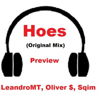 Hoes (Original Mix) - DJ LeandroMT, Oliver $, Sqim (Preview) by DJ LEANDRO MT