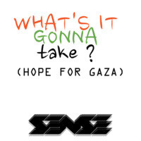 Sense - whats it gonna take? (hope for Gaza) by sense