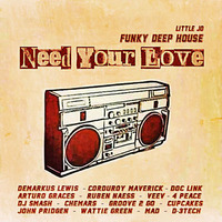 Need Your Love by Funky Disco Deep House