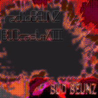 radioBEUNZ-BUDcast#12 by bud beunz