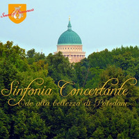 SINFONIA CONCERTANTE by GoKrause