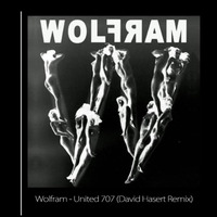 Wolfram - United 707 (David Hasert Remix)(DFA Records) by David Hasert
