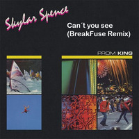 Skylar Spence - Can´t You See (Breakfuse Remix)FREE DLL by BreakFuse