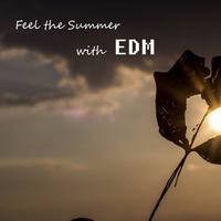 #Joey -  Feel The Summer With EDM by Joey Steinbach