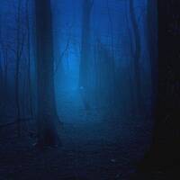 Blue Mist by Daniele Cirignotta