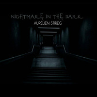 Aurelien Stireg - Nightmare In The Dark (original Mix) Preview by Aurelien Stireg