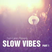 Slow Vibes by Sam Lainio