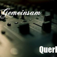 2Gemeinsam Feat. QuerBeat by 2Gemeinsam