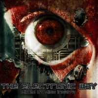 The Electronic Way by Miss Insan'A