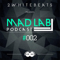 Mad Lab Podcast #002 by 2WhiteBeats