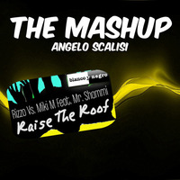 Rizzo Vs. Miki M Feat. Mr. Shammi - Raise The Roof (ANGELO SCALISI Mashup) by Angelo Iena Scalisi