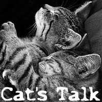 Cat's Talk by Seelensack