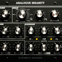 The Ploy Boys - Analogue Insanity by The Ploy Boys