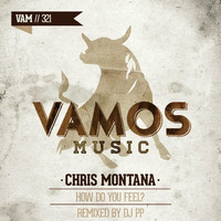 Chris Montana - How Do You Feel (PP REMIX) Teaser by Chris Montana
