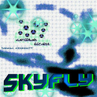 Sky Fly:Dominik Kenngott (Original) by Dominik Kenngott